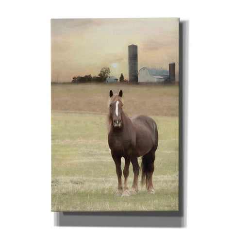 Image of 'Jackson Horse' by Lori Deiter, Canvas Wall Art