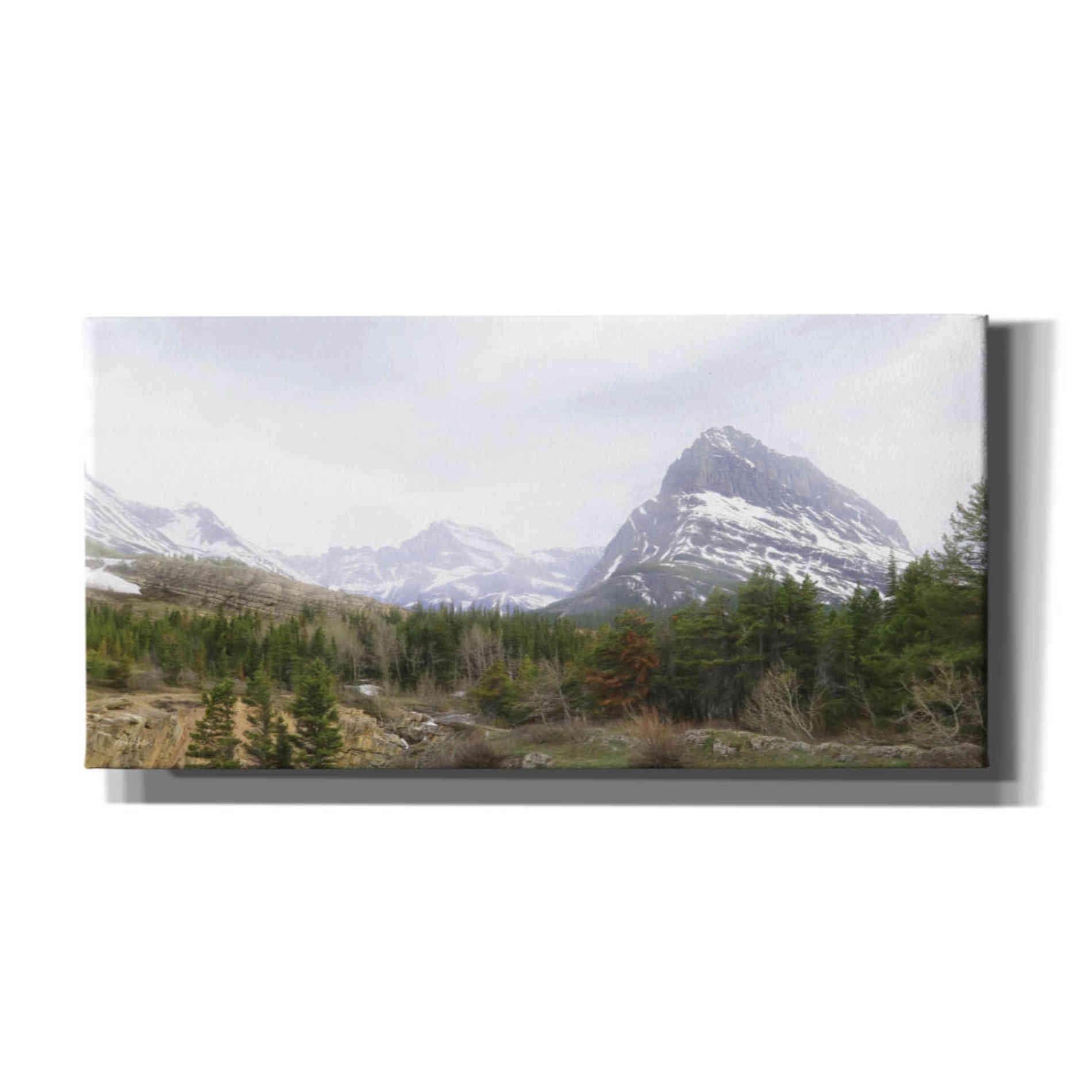 'Many Glacier Landscape' by Lori Deiter, Canvas Wall Art