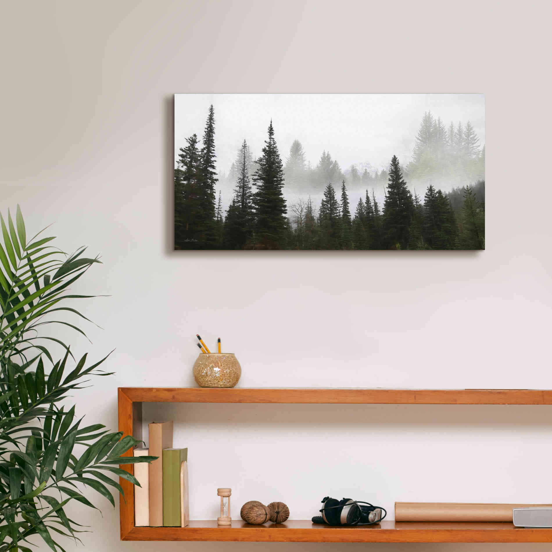 'Schwabachers Landing Trees' by Lori Deiter, Canvas Wall Art,24 x 12