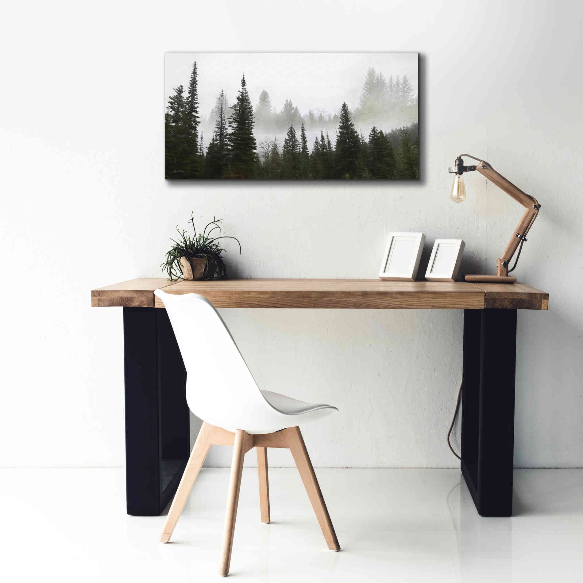 'Schwabachers Landing Trees' by Lori Deiter, Canvas Wall Art,40 x 20