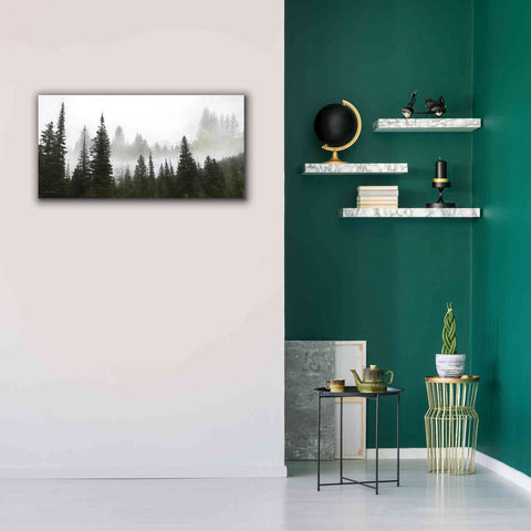 Image of 'Schwabachers Landing Trees' by Lori Deiter, Canvas Wall Art,40 x 20