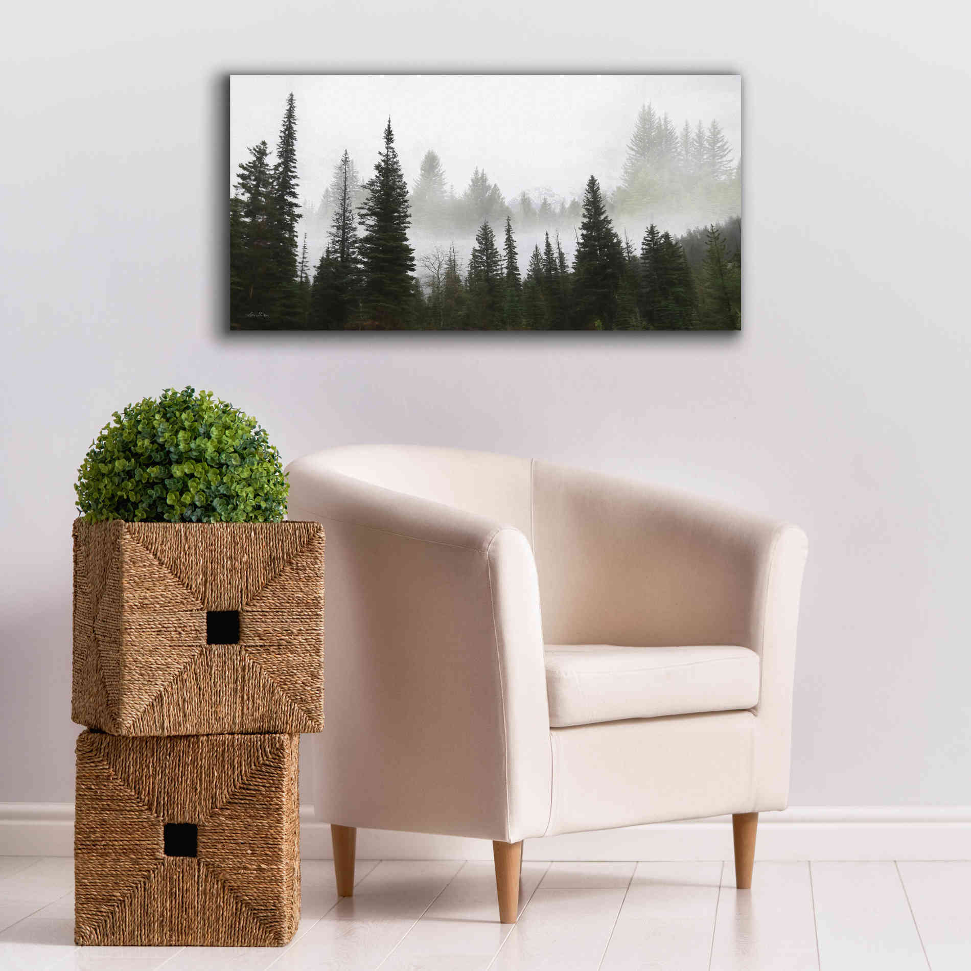 'Schwabachers Landing Trees' by Lori Deiter, Canvas Wall Art,40 x 20