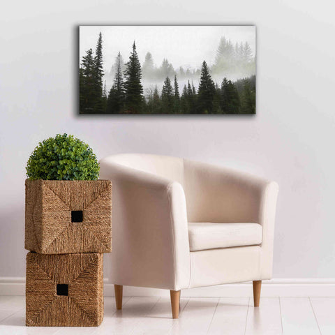 Image of 'Schwabachers Landing Trees' by Lori Deiter, Canvas Wall Art,40 x 20