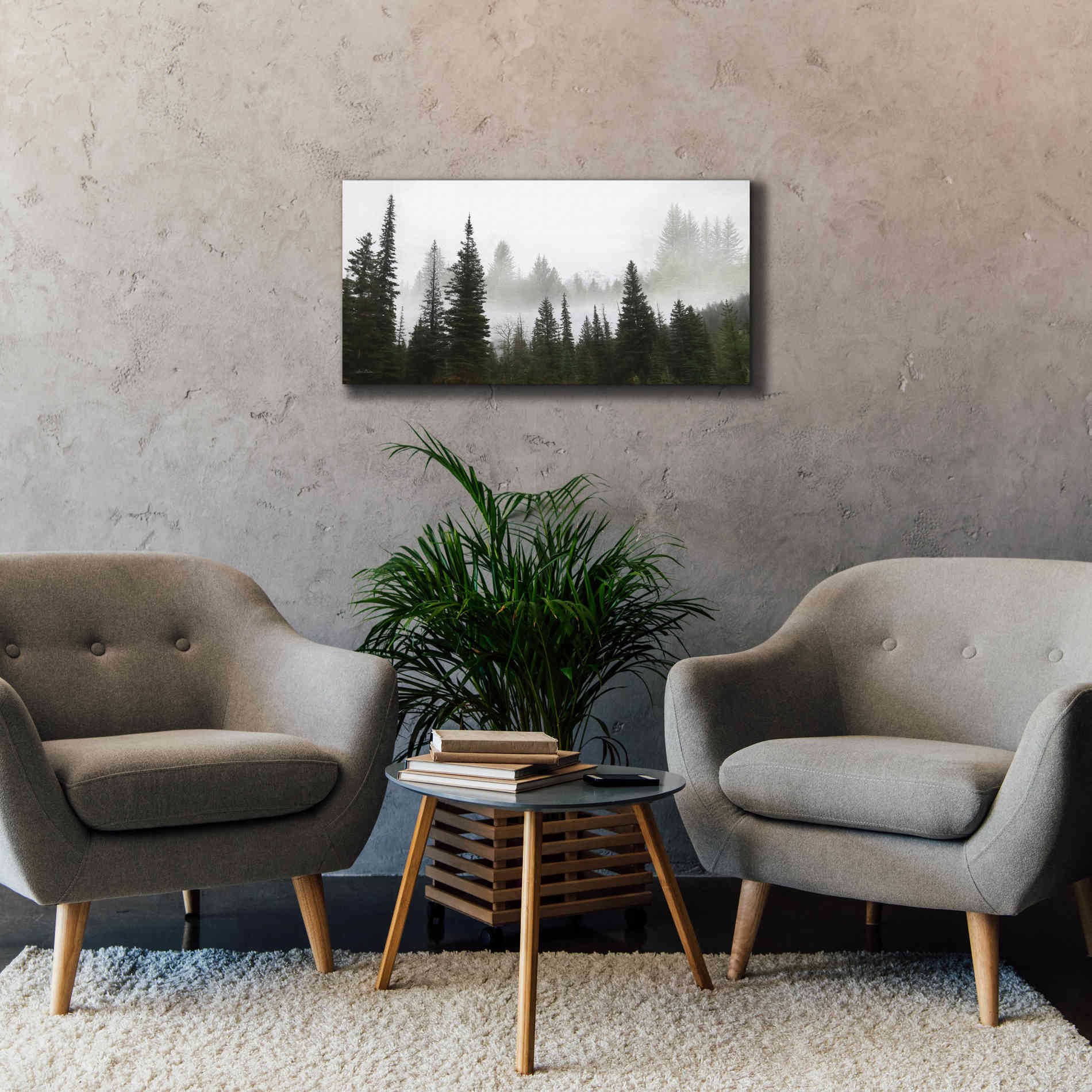 'Schwabachers Landing Trees' by Lori Deiter, Canvas Wall Art,40 x 20