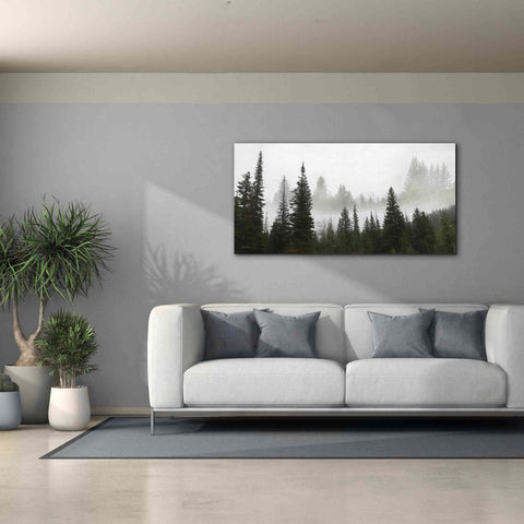 Image of 'Schwabachers Landing Trees' by Lori Deiter, Canvas Wall Art,60 x 30