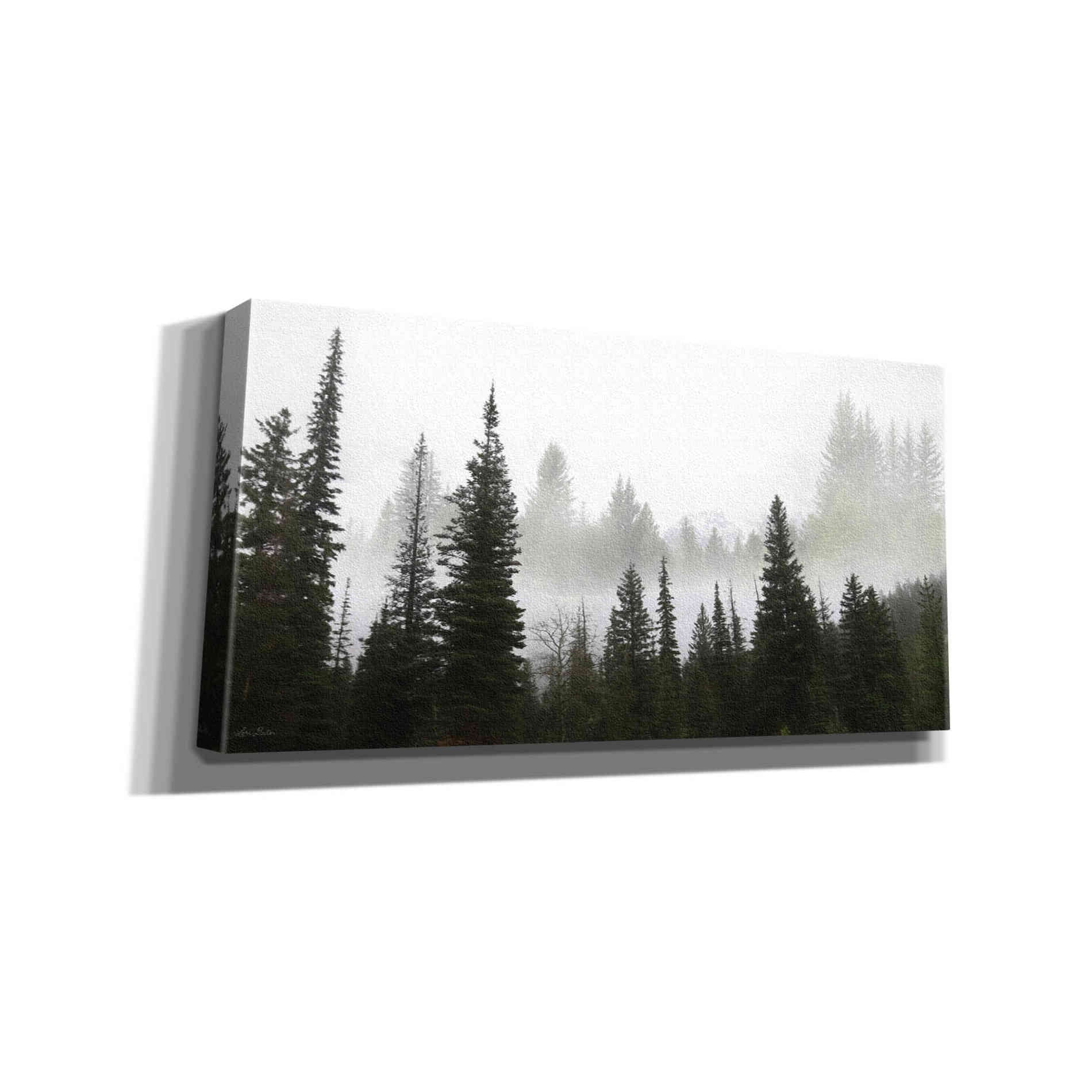 'Schwabachers Landing Trees' by Lori Deiter, Canvas Wall Art