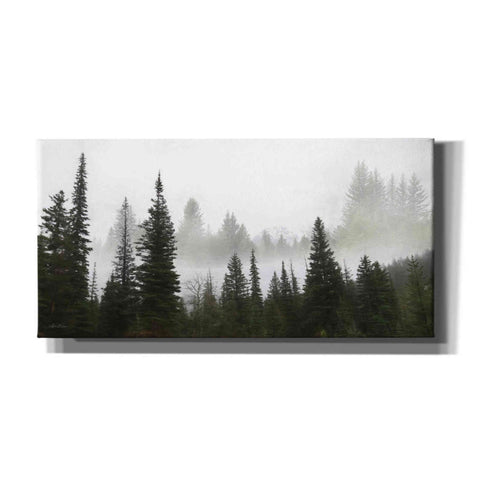 Image of 'Schwabachers Landing Trees' by Lori Deiter, Canvas Wall Art