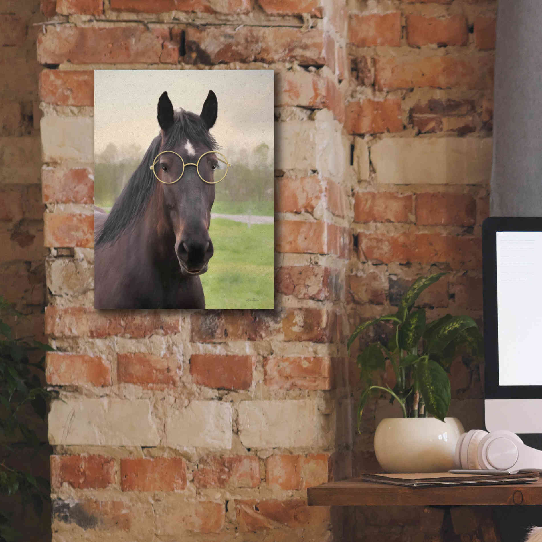 'Horse with Round Glasses' by Lori Deiter, Canvas Wall Art,12 x 16