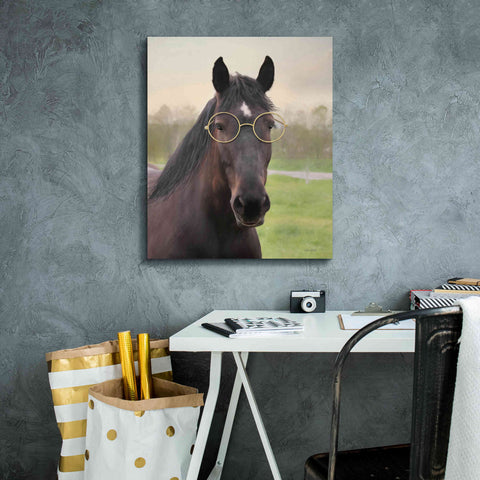 Image of 'Horse with Round Glasses' by Lori Deiter, Canvas Wall Art,20 x 24