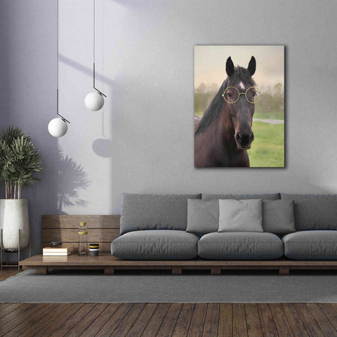 Image of 'Horse with Round Glasses' by Lori Deiter, Canvas Wall Art,40 x 54