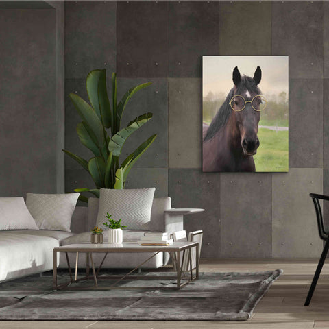 Image of 'Horse with Round Glasses' by Lori Deiter, Canvas Wall Art,40 x 54