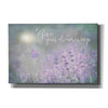 'Give Your Dreams Wings' by Lori Deiter, Canvas Wall Art