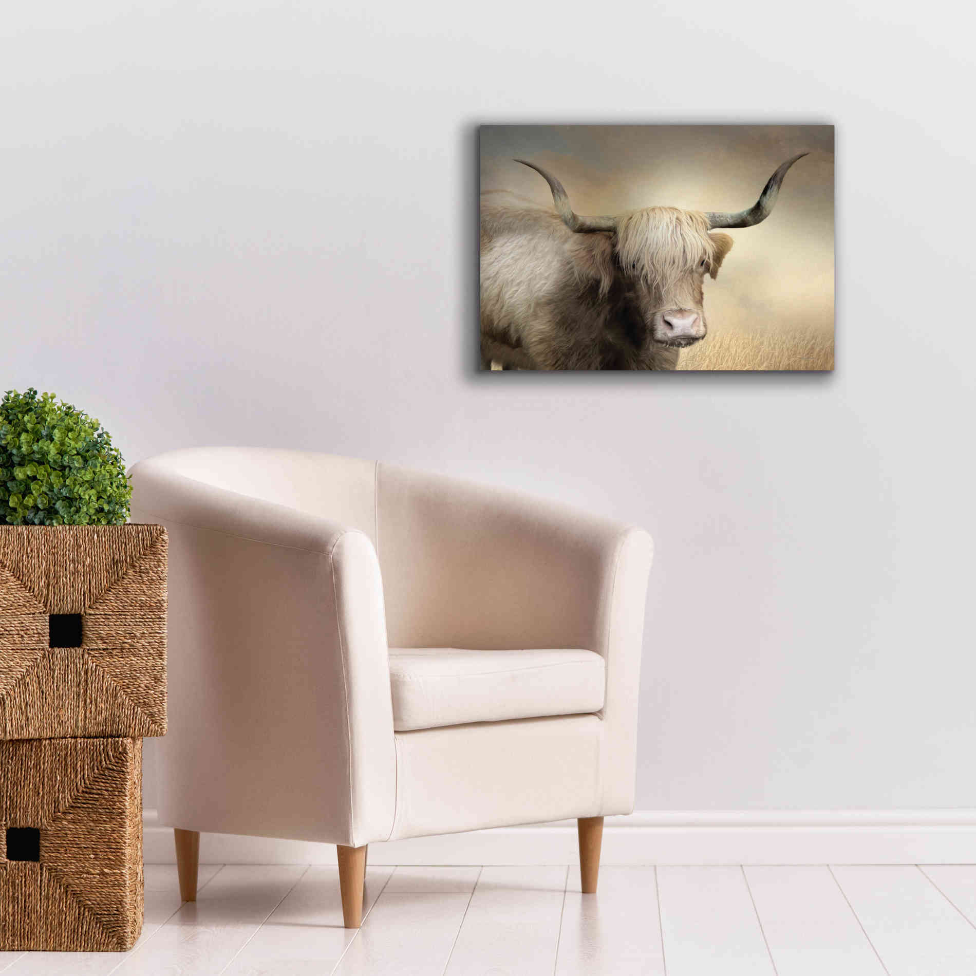 'Highland Cow in Golden Grass' by Lori Deiter, Canvas Wall Art,26 x 18