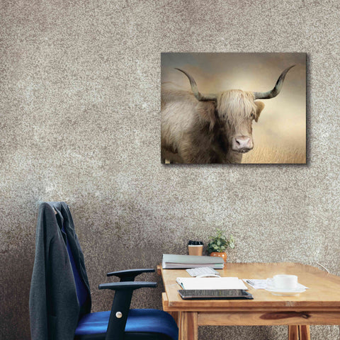 Image of 'Highland Cow in Golden Grass' by Lori Deiter, Canvas Wall Art,34 x 26