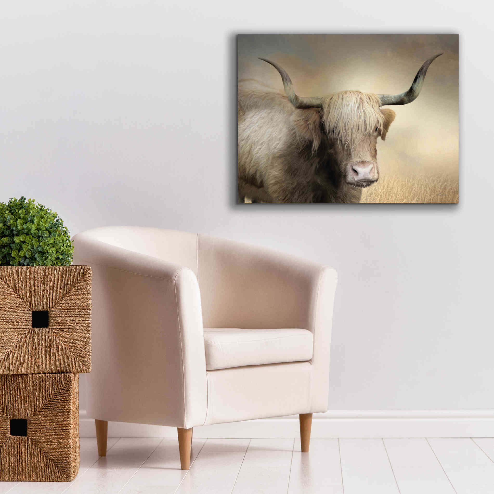 'Highland Cow in Golden Grass' by Lori Deiter, Canvas Wall Art,34 x 26