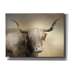 'Highland Cow in Golden Grass' by Lori Deiter, Canvas Wall Art