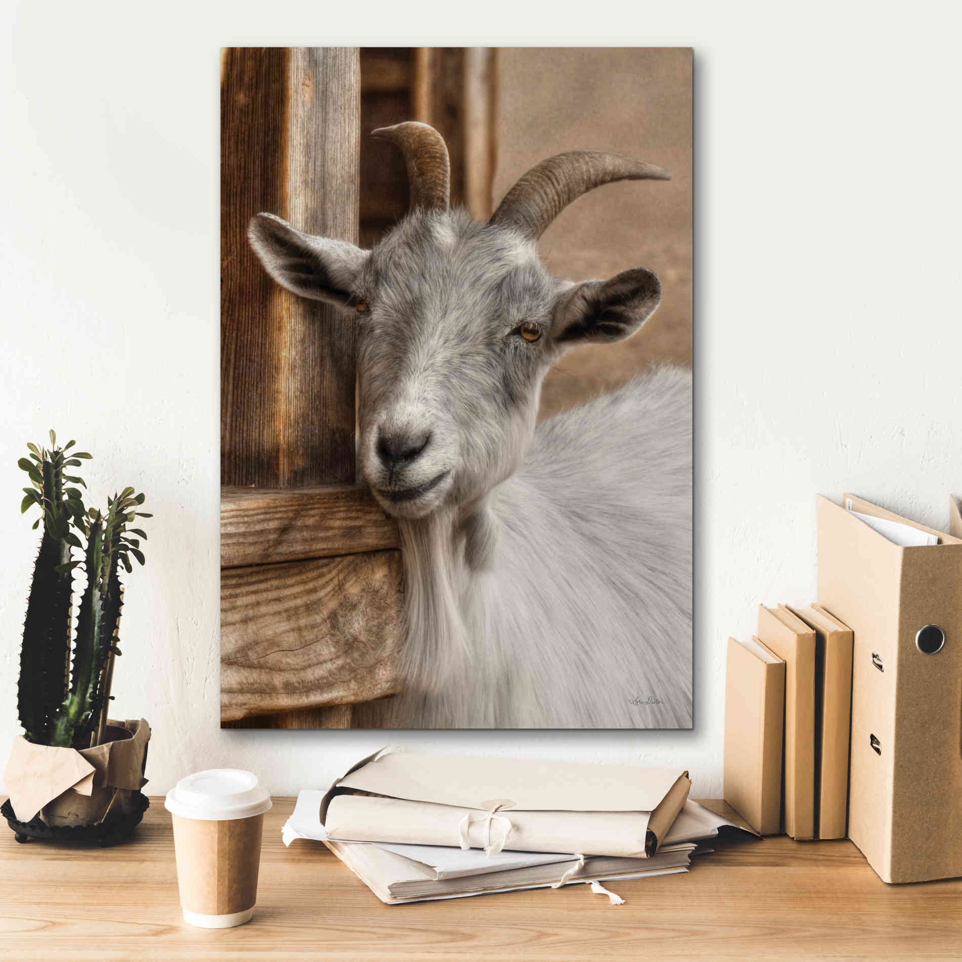 'Gray Goat' by Lori Deiter, Canvas Wall Art,18 x 26