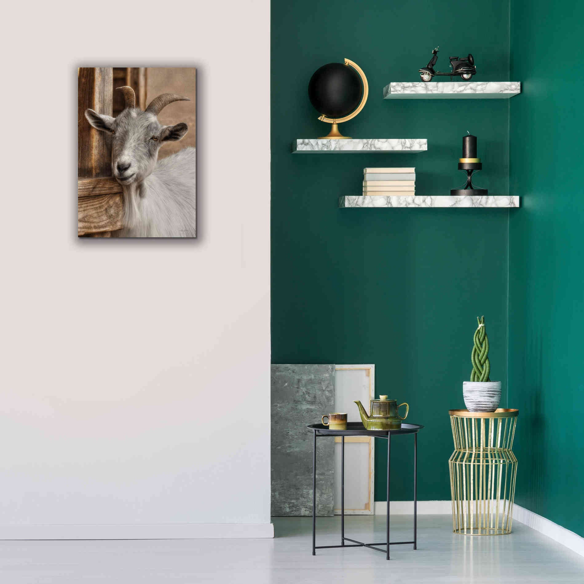 'Gray Goat' by Lori Deiter, Canvas Wall Art,18 x 26