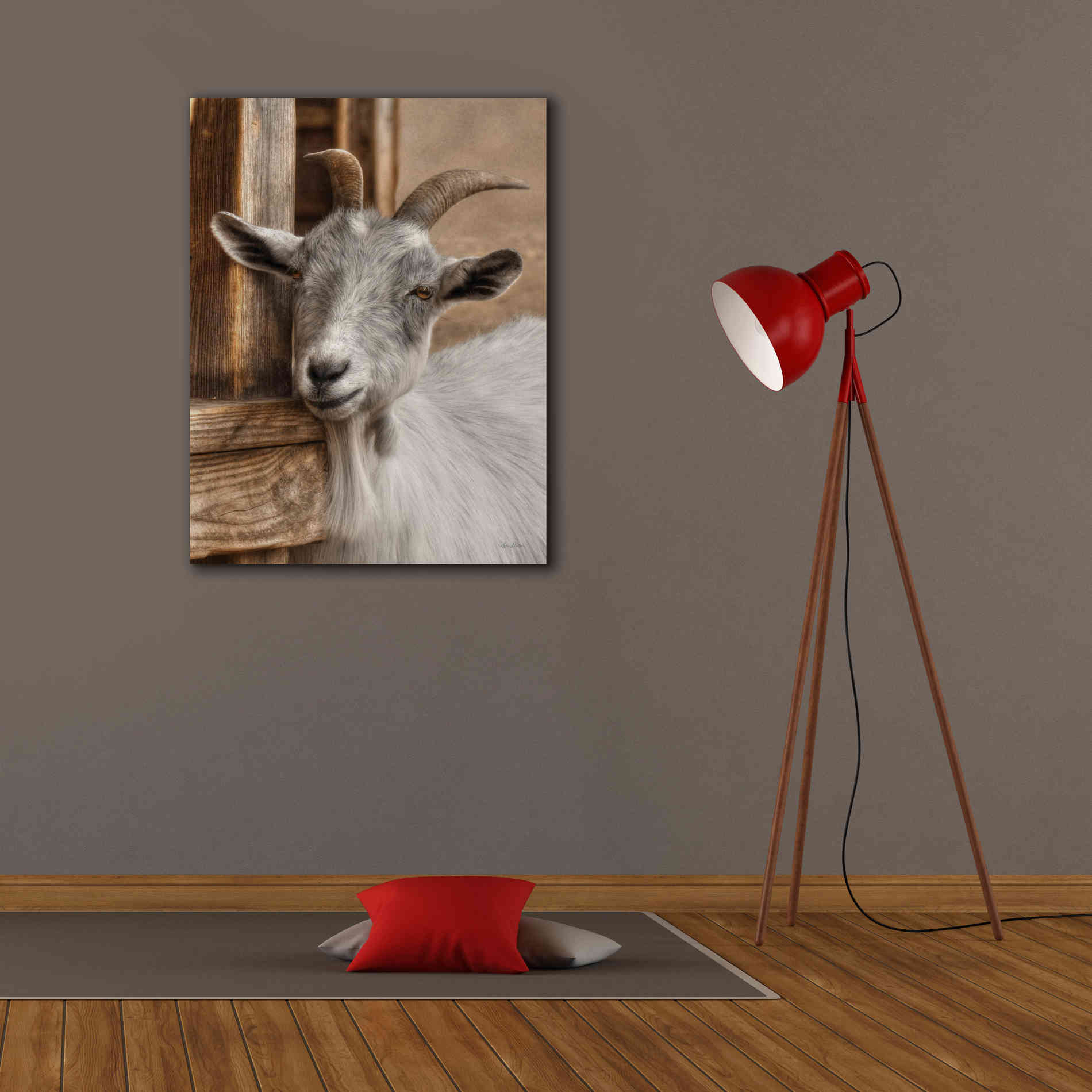'Gray Goat' by Lori Deiter, Canvas Wall Art,26 x 34