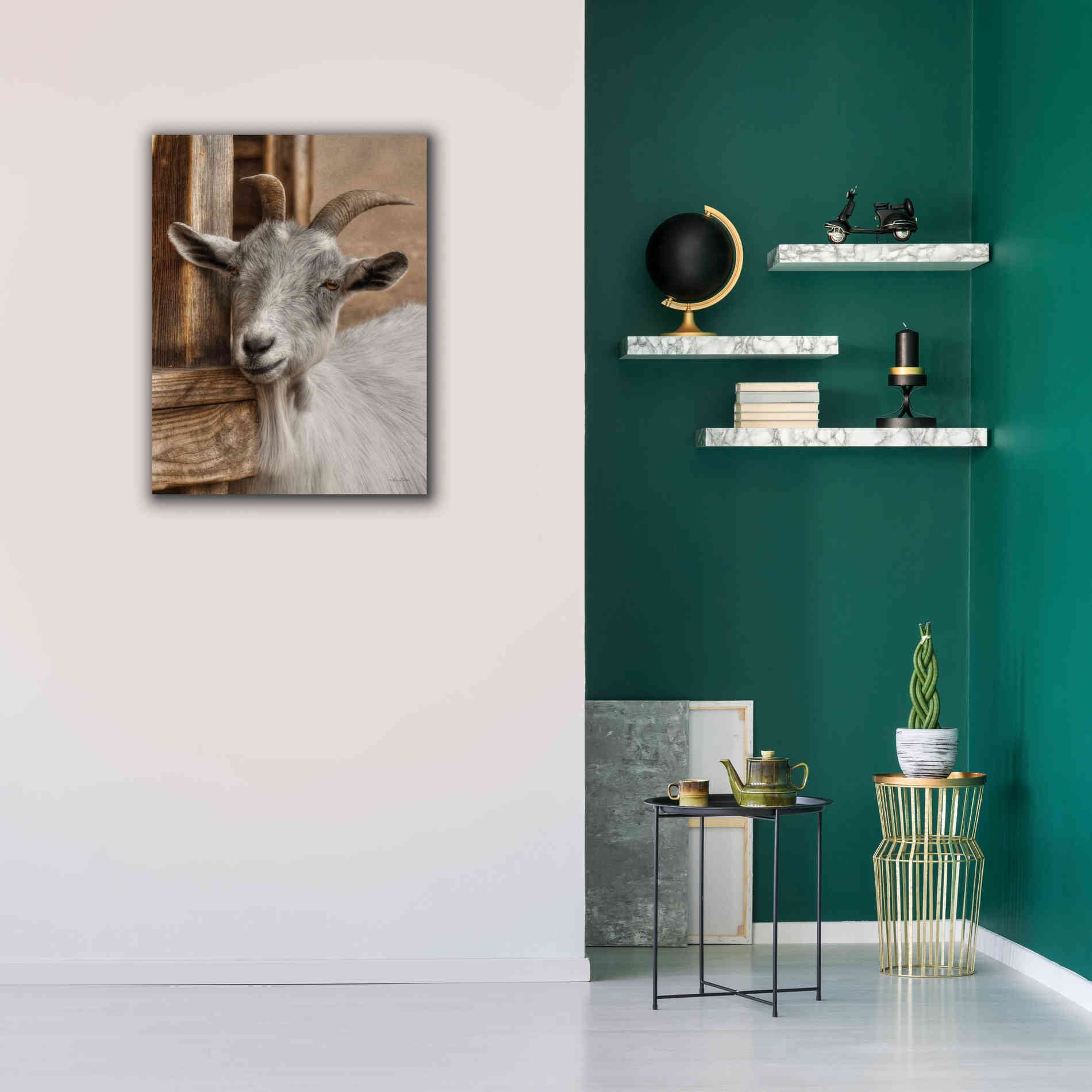 'Gray Goat' by Lori Deiter, Canvas Wall Art,26 x 34
