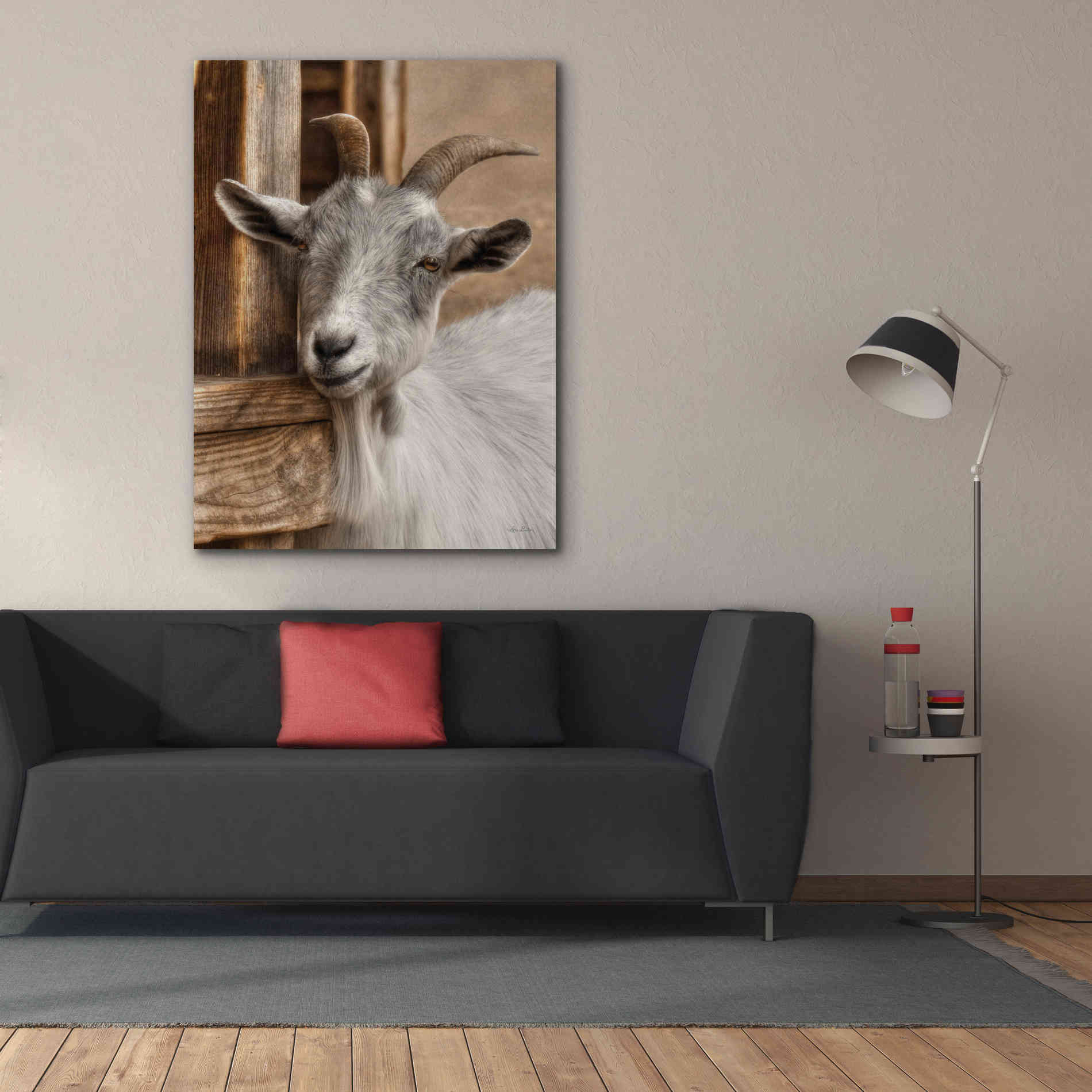 'Gray Goat' by Lori Deiter, Canvas Wall Art,40 x 54