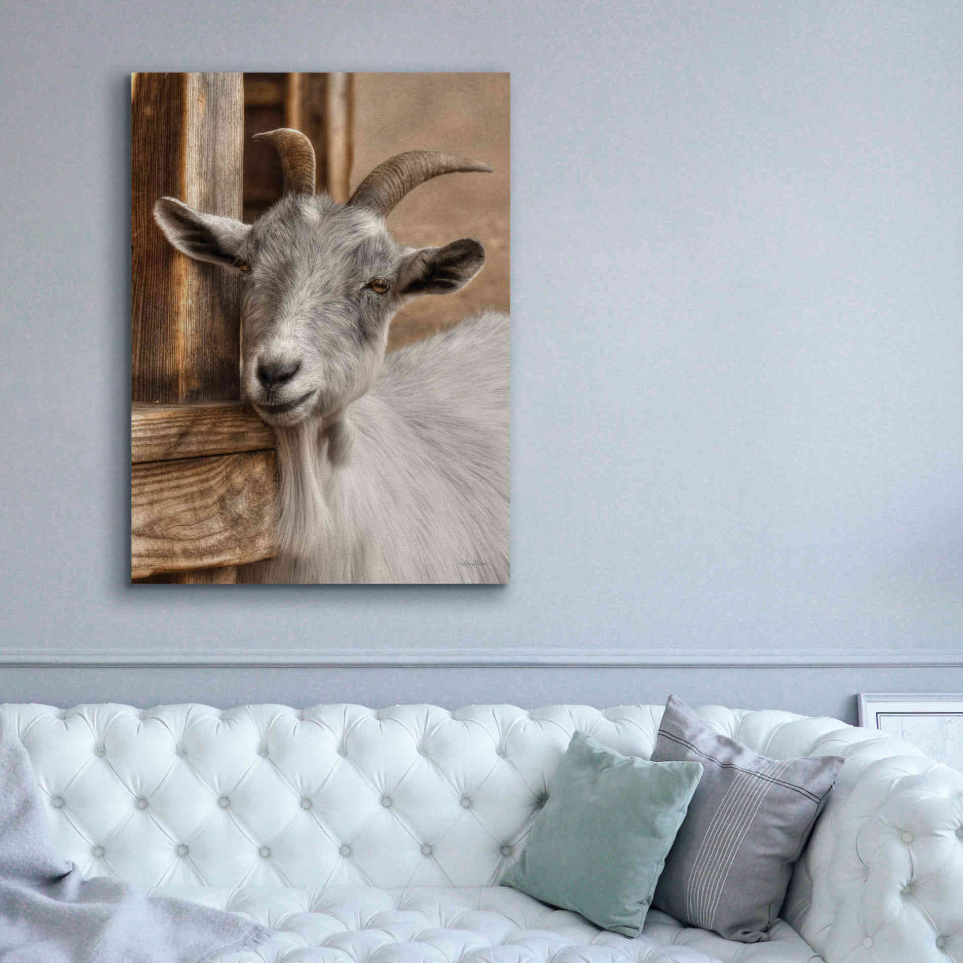 'Gray Goat' by Lori Deiter, Canvas Wall Art,40 x 54