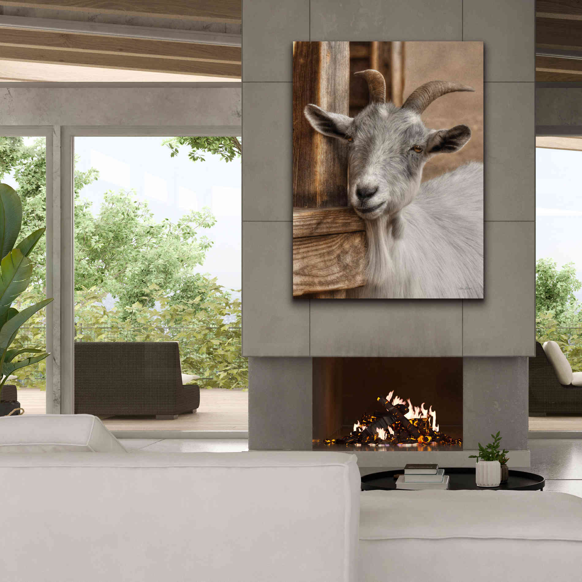'Gray Goat' by Lori Deiter, Canvas Wall Art,40 x 54