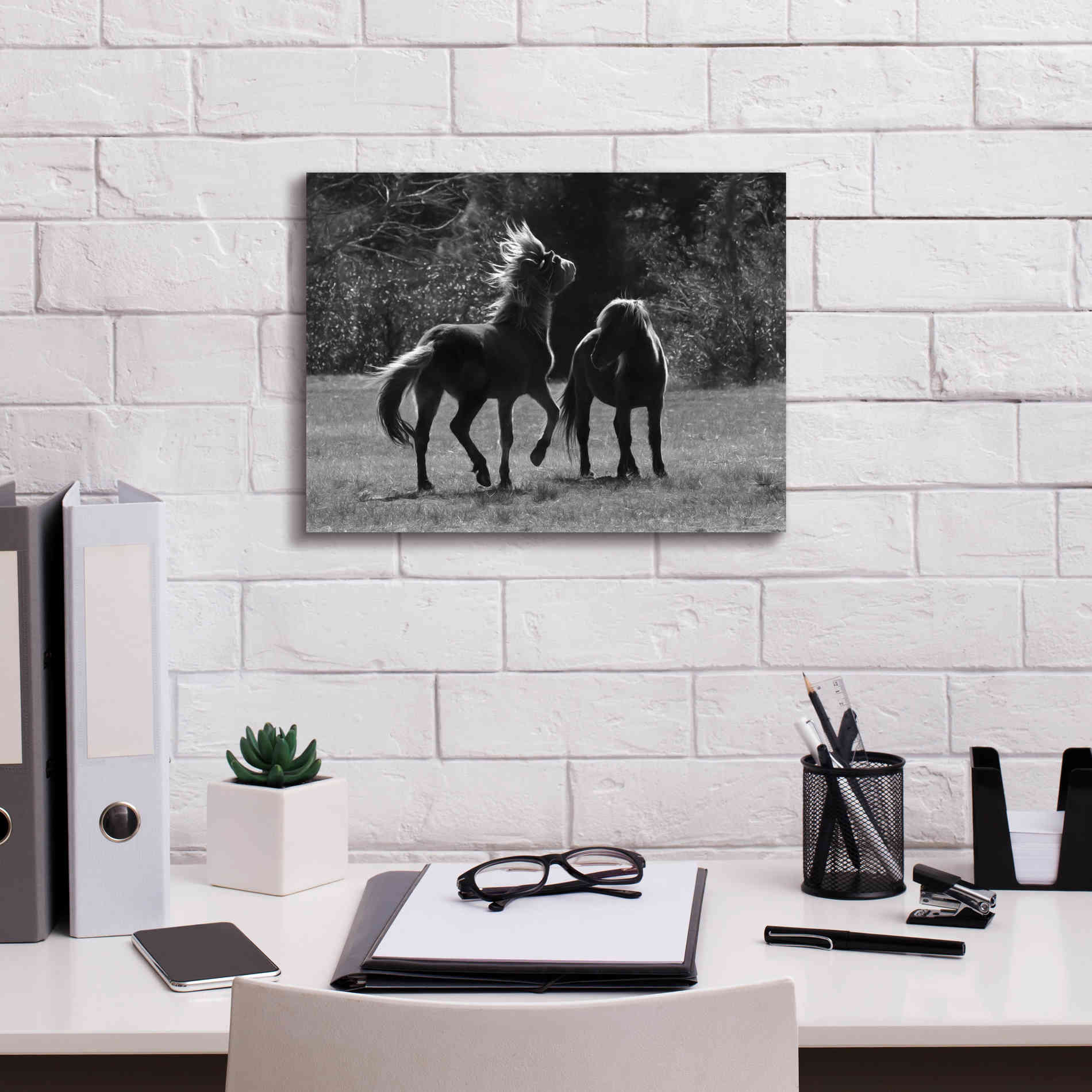 'Black & White Assateague Horses' by Lori Deiter, Canvas Wall Art,16 x 12