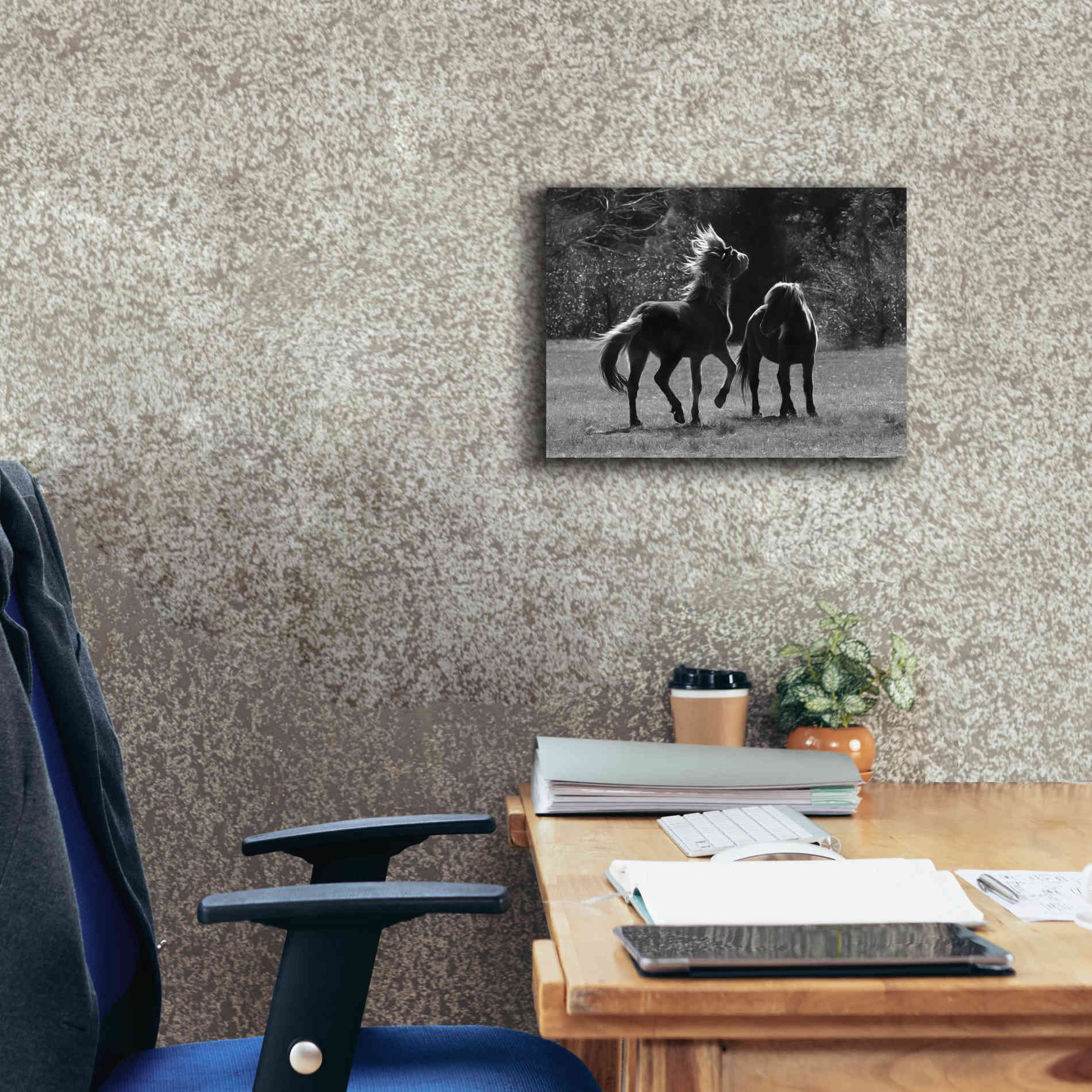 'Black & White Assateague Horses' by Lori Deiter, Canvas Wall Art,16 x 12