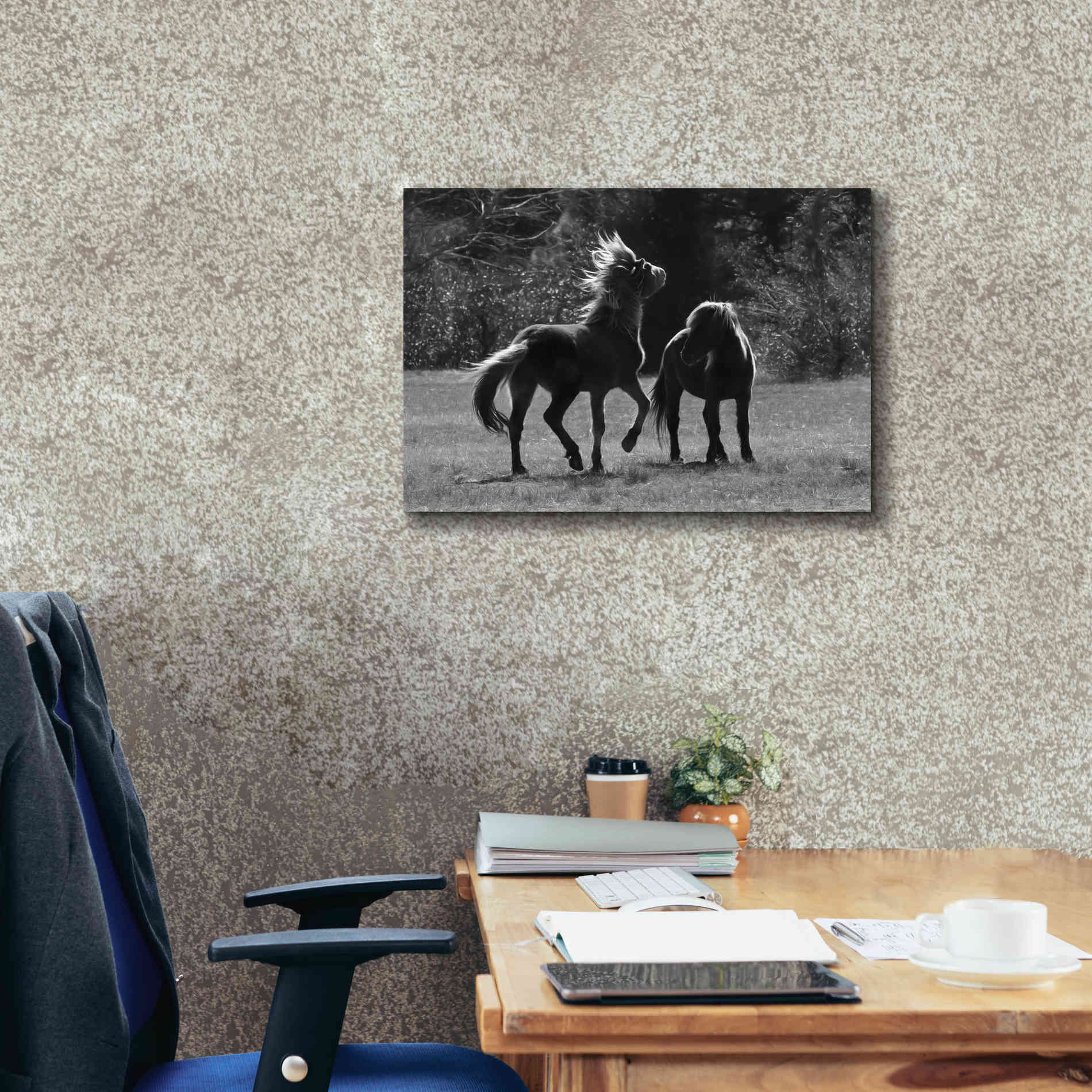 'Black & White Assateague Horses' by Lori Deiter, Canvas Wall Art,26 x 18