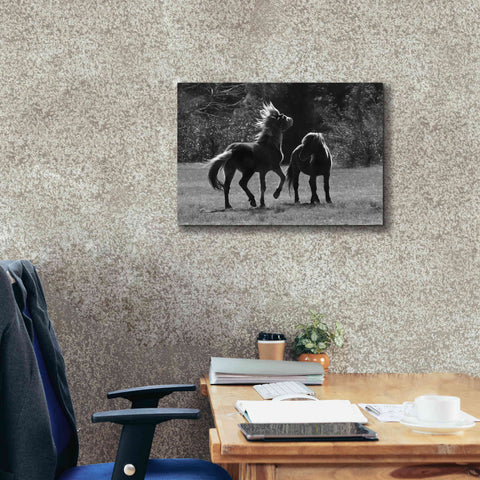 Image of 'Black & White Assateague Horses' by Lori Deiter, Canvas Wall Art,26 x 18