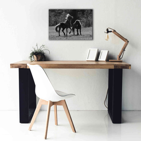 Image of 'Black & White Assateague Horses' by Lori Deiter, Canvas Wall Art,26 x 18