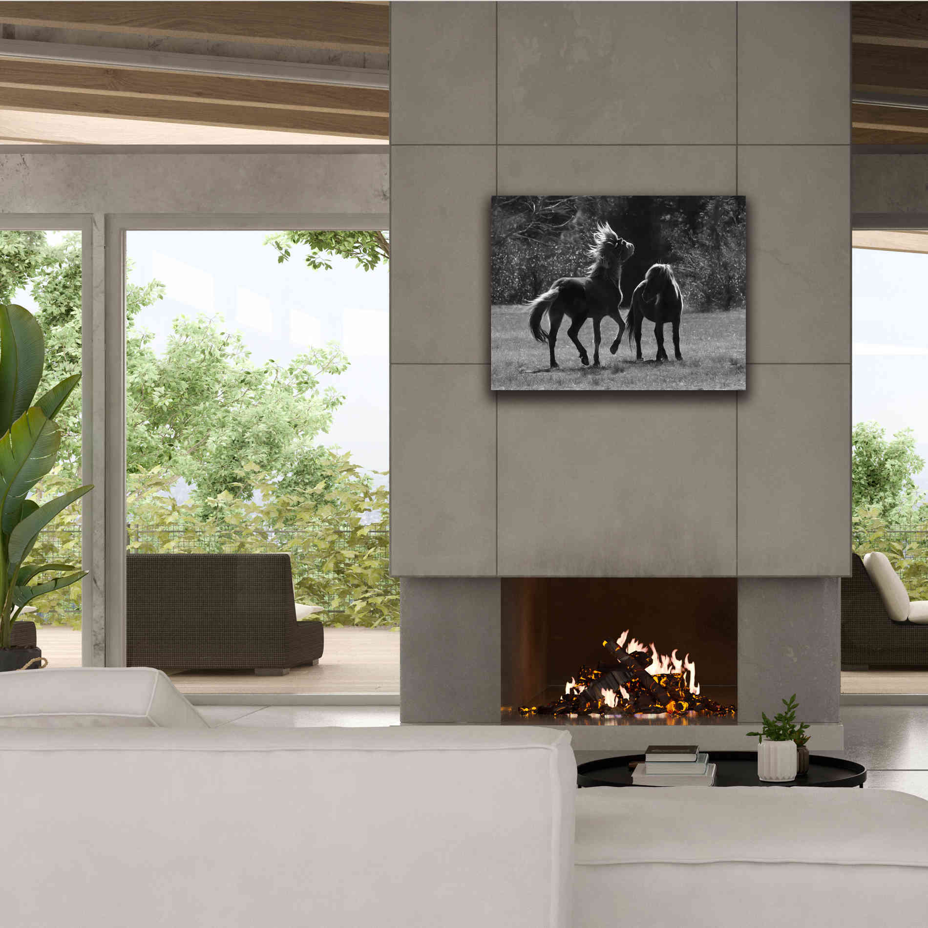 'Black & White Assateague Horses' by Lori Deiter, Canvas Wall Art,34 x 26
