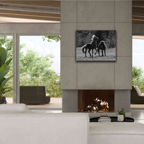 Image of 'Black & White Assateague Horses' by Lori Deiter, Canvas Wall Art,34 x 26