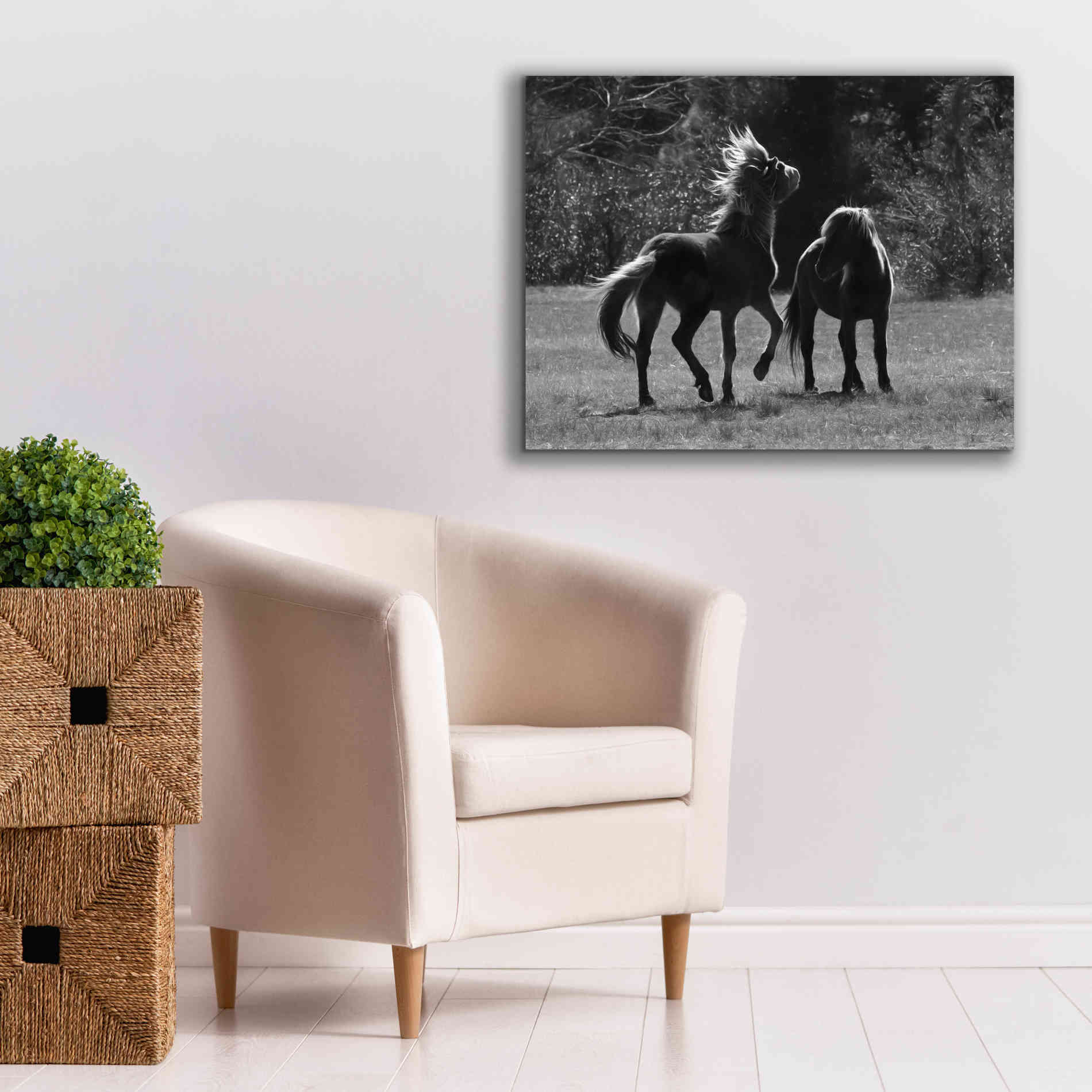 'Black & White Assateague Horses' by Lori Deiter, Canvas Wall Art,34 x 26