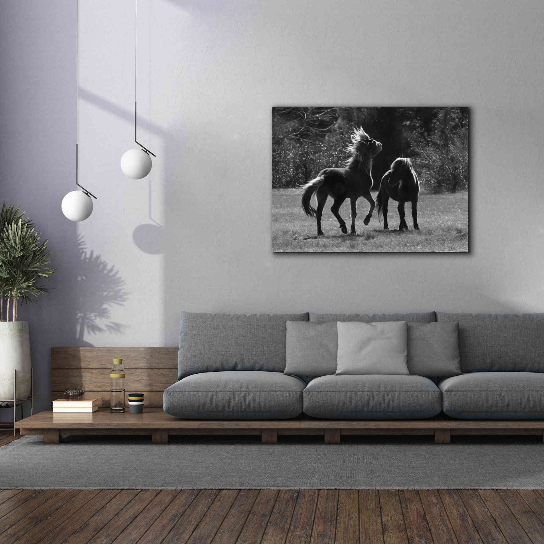 'Black & White Assateague Horses' by Lori Deiter, Canvas Wall Art,54 x 40