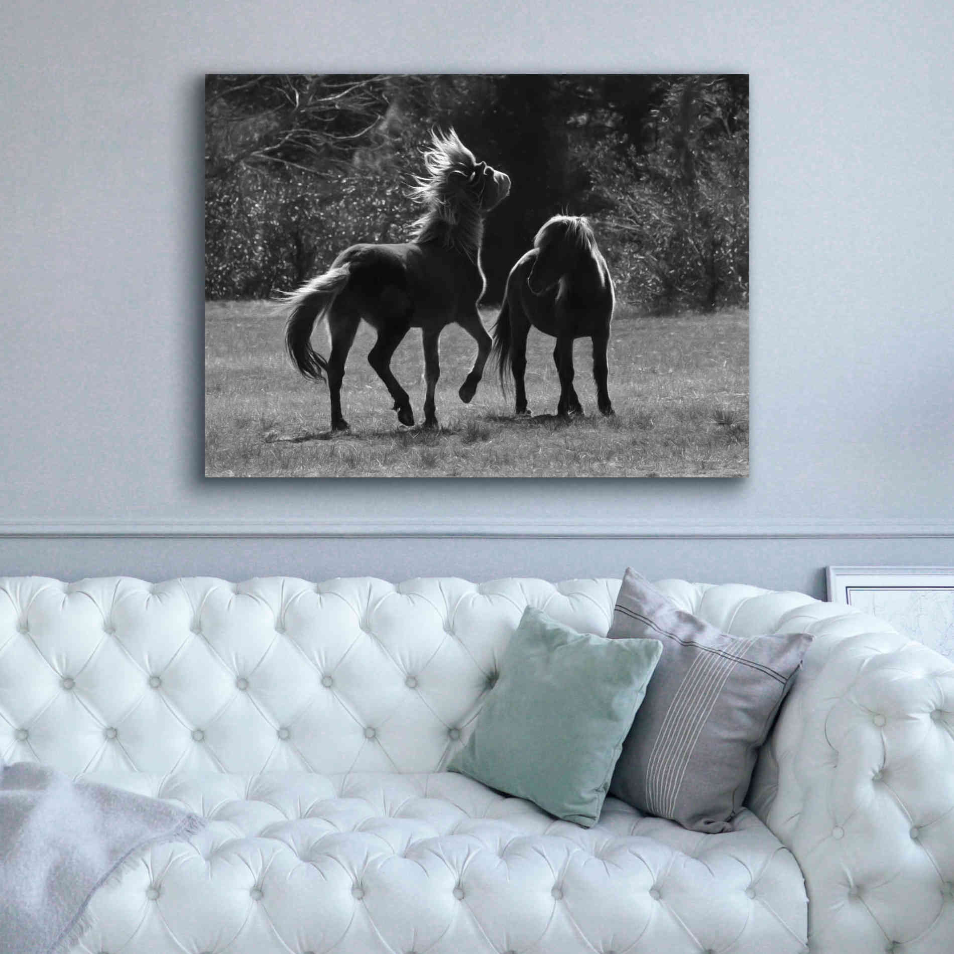 'Black & White Assateague Horses' by Lori Deiter, Canvas Wall Art,54 x 40