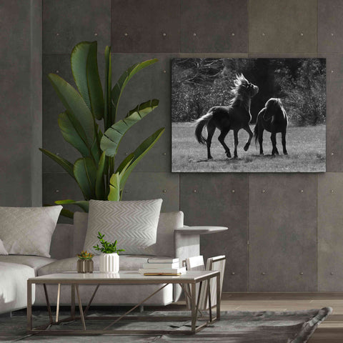 Image of 'Black & White Assateague Horses' by Lori Deiter, Canvas Wall Art,54 x 40