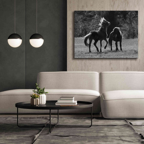 Image of 'Black & White Assateague Horses' by Lori Deiter, Canvas Wall Art,54 x 40