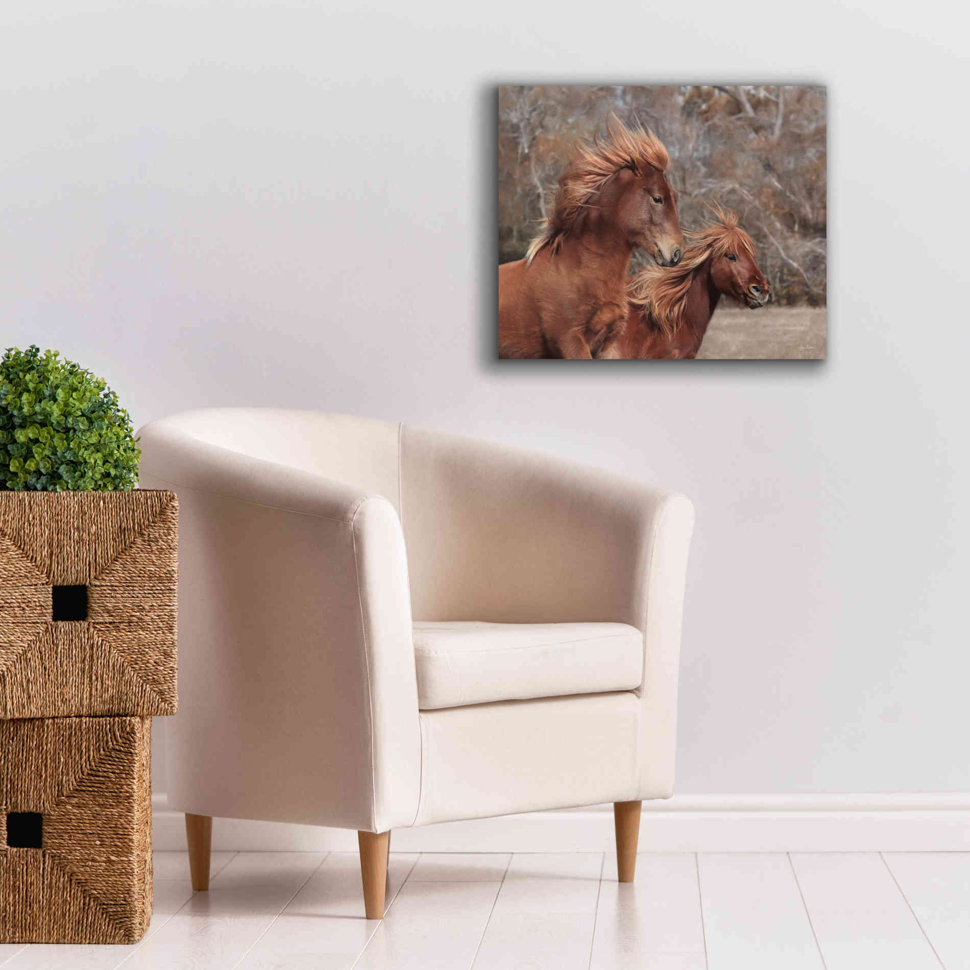 'Assateague Horses II' by Lori Deiter, Canvas Wall Art,24 x 20