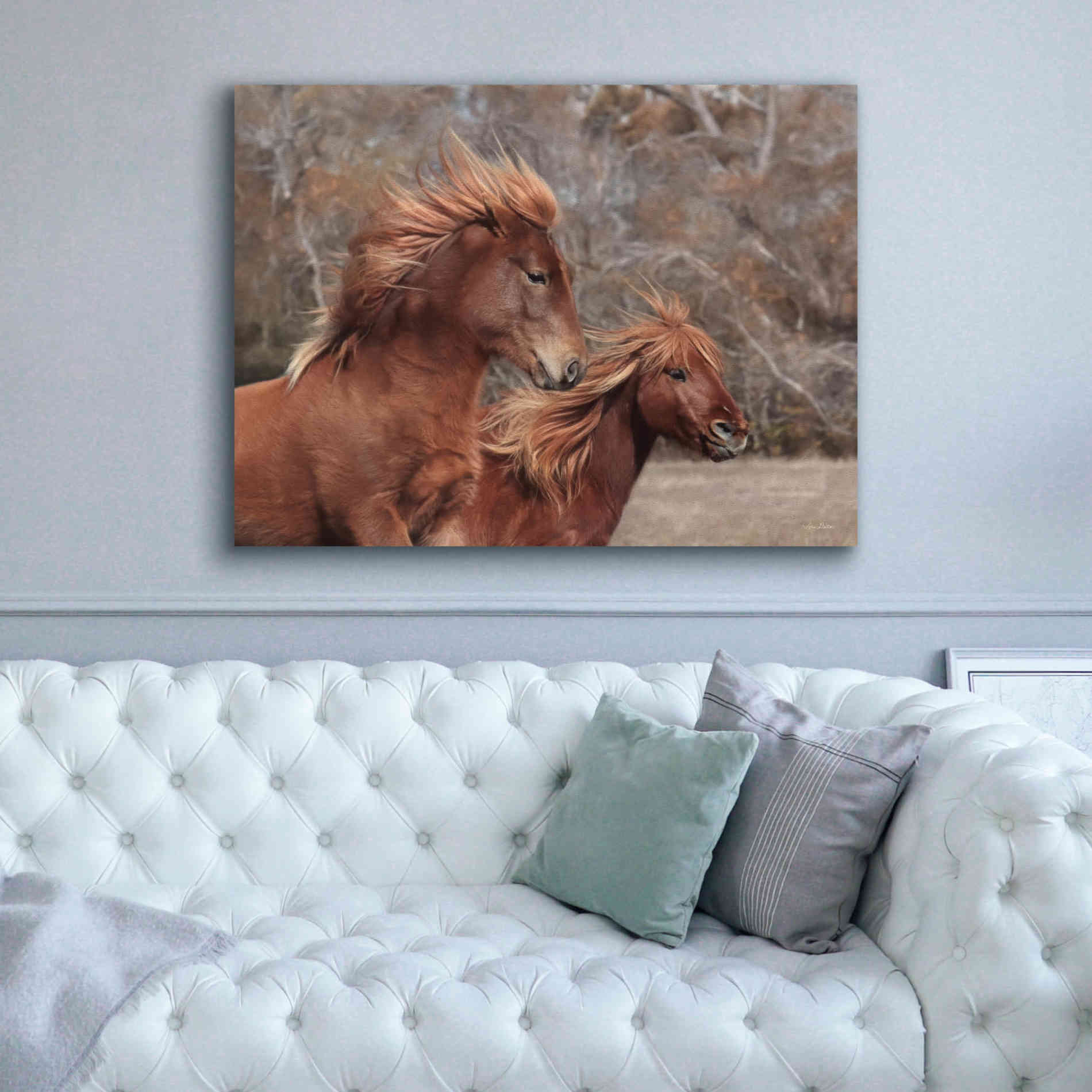 'Assateague Horses II' by Lori Deiter, Canvas Wall Art,54 x 40