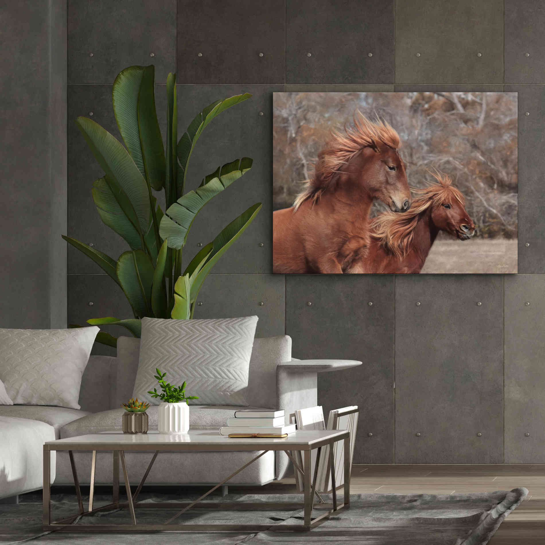 'Assateague Horses II' by Lori Deiter, Canvas Wall Art,54 x 40