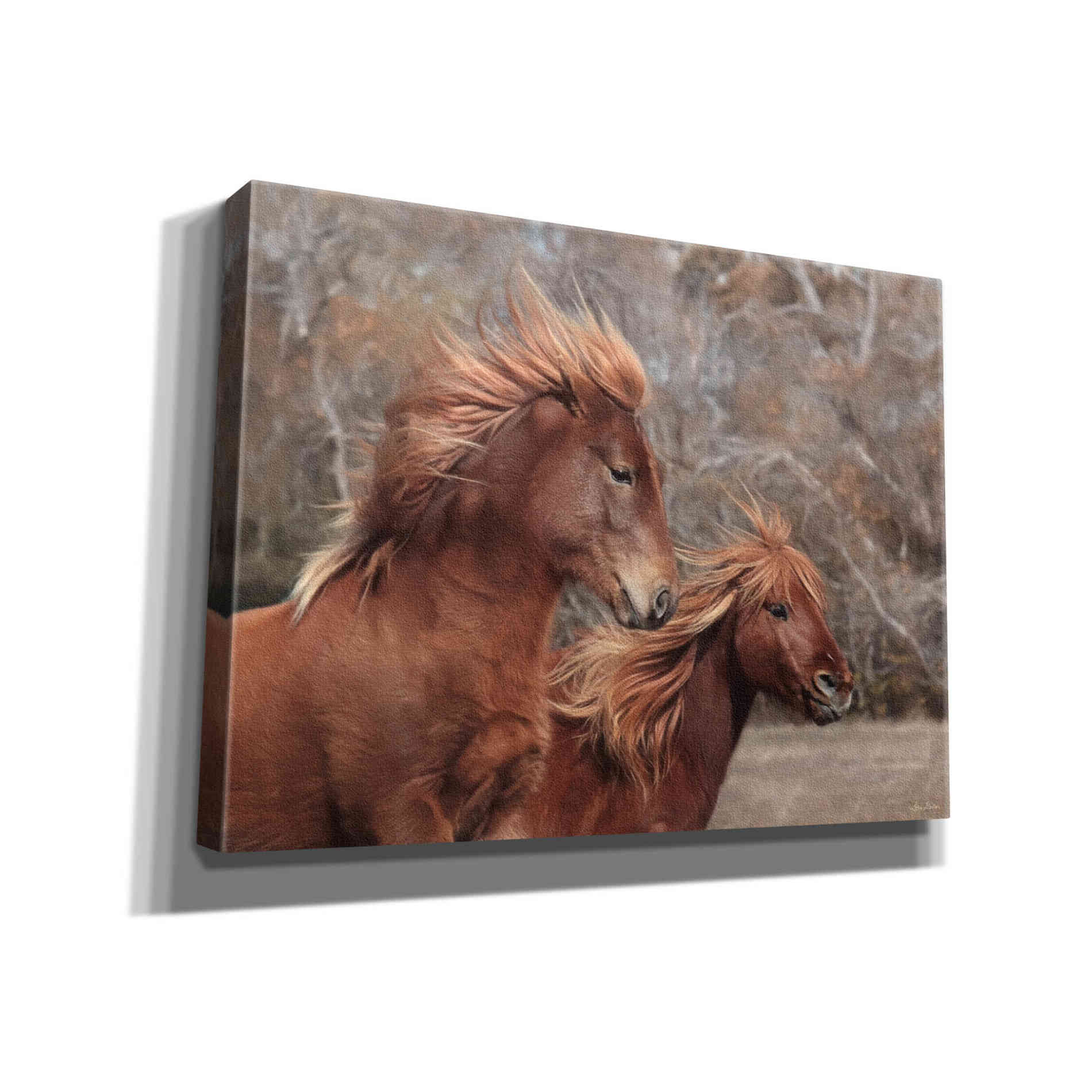 'Assateague Horses II' by Lori Deiter, Canvas Wall Art