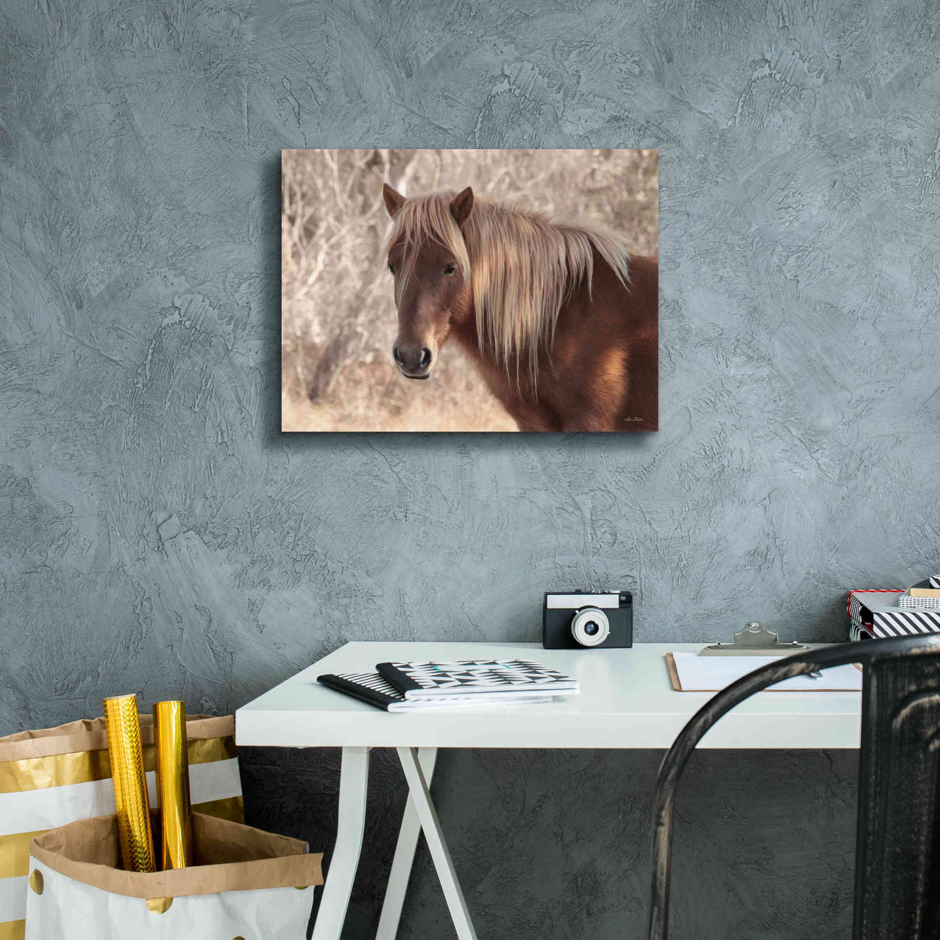 'Assateague Horse Portrait' by Lori Deiter, Canvas Wall Art,16 x 12