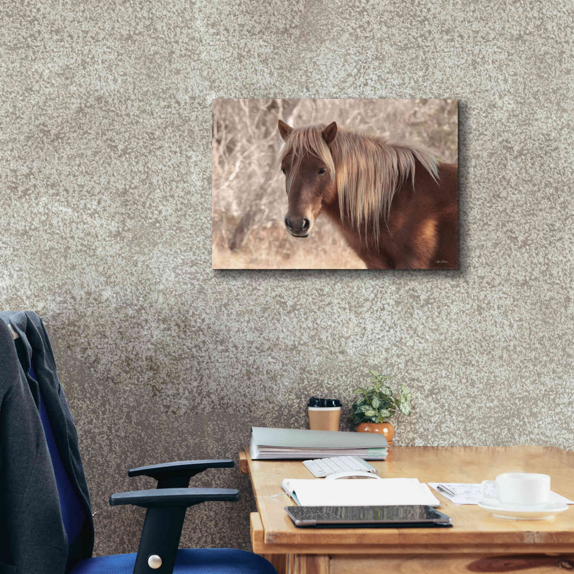 'Assateague Horse Portrait' by Lori Deiter, Canvas Wall Art,26 x 18