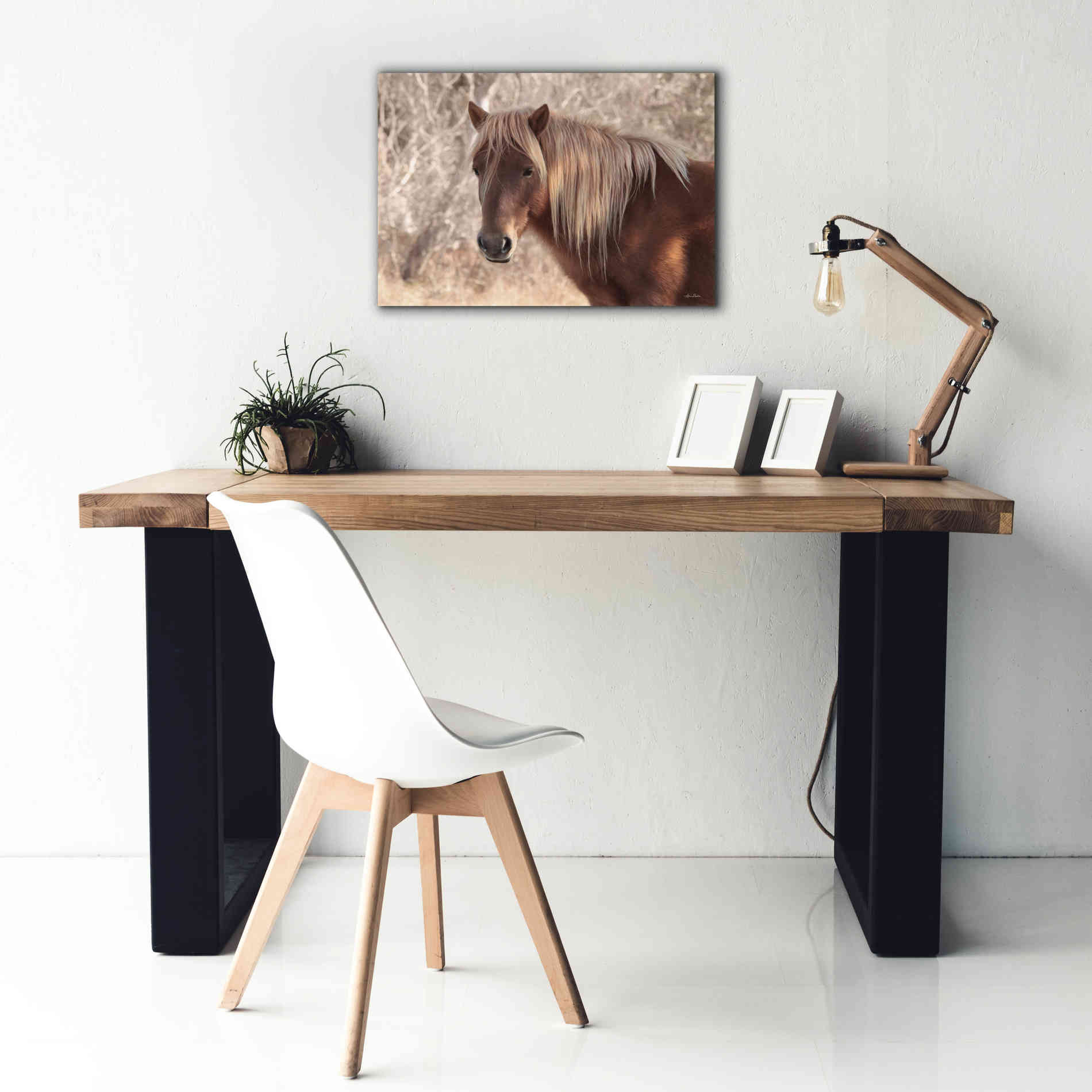 'Assateague Horse Portrait' by Lori Deiter, Canvas Wall Art,26 x 18