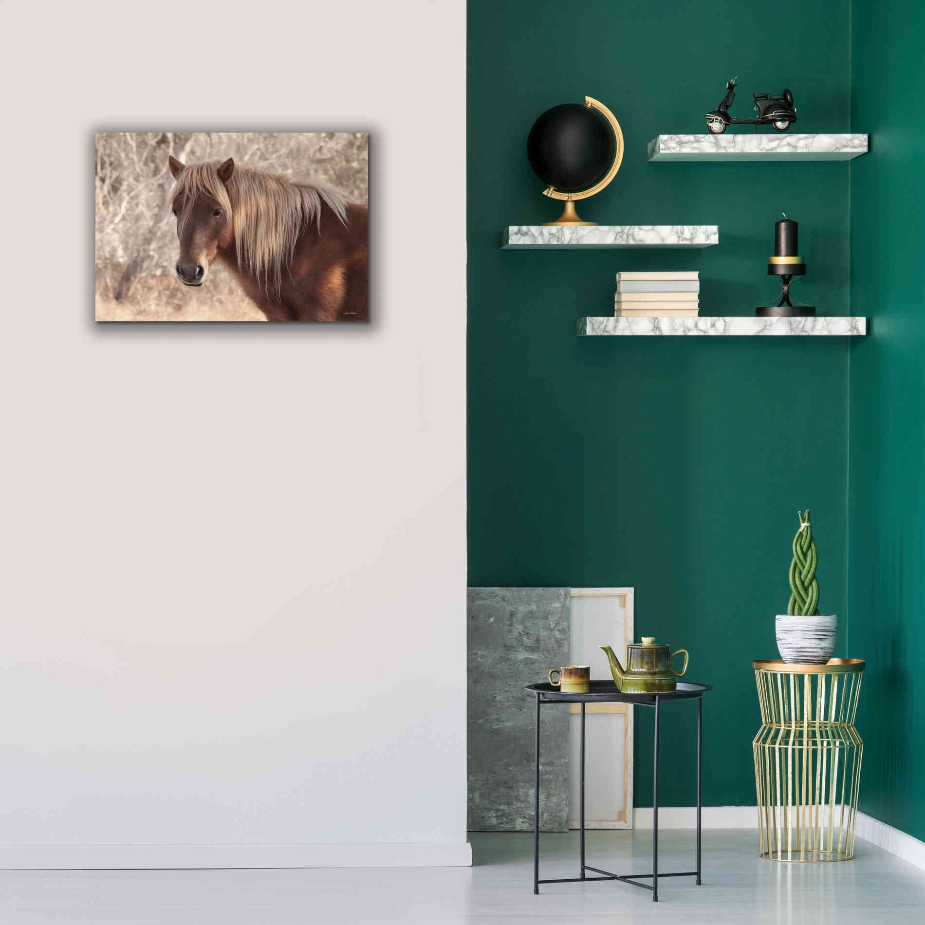 'Assateague Horse Portrait' by Lori Deiter, Canvas Wall Art,26 x 18
