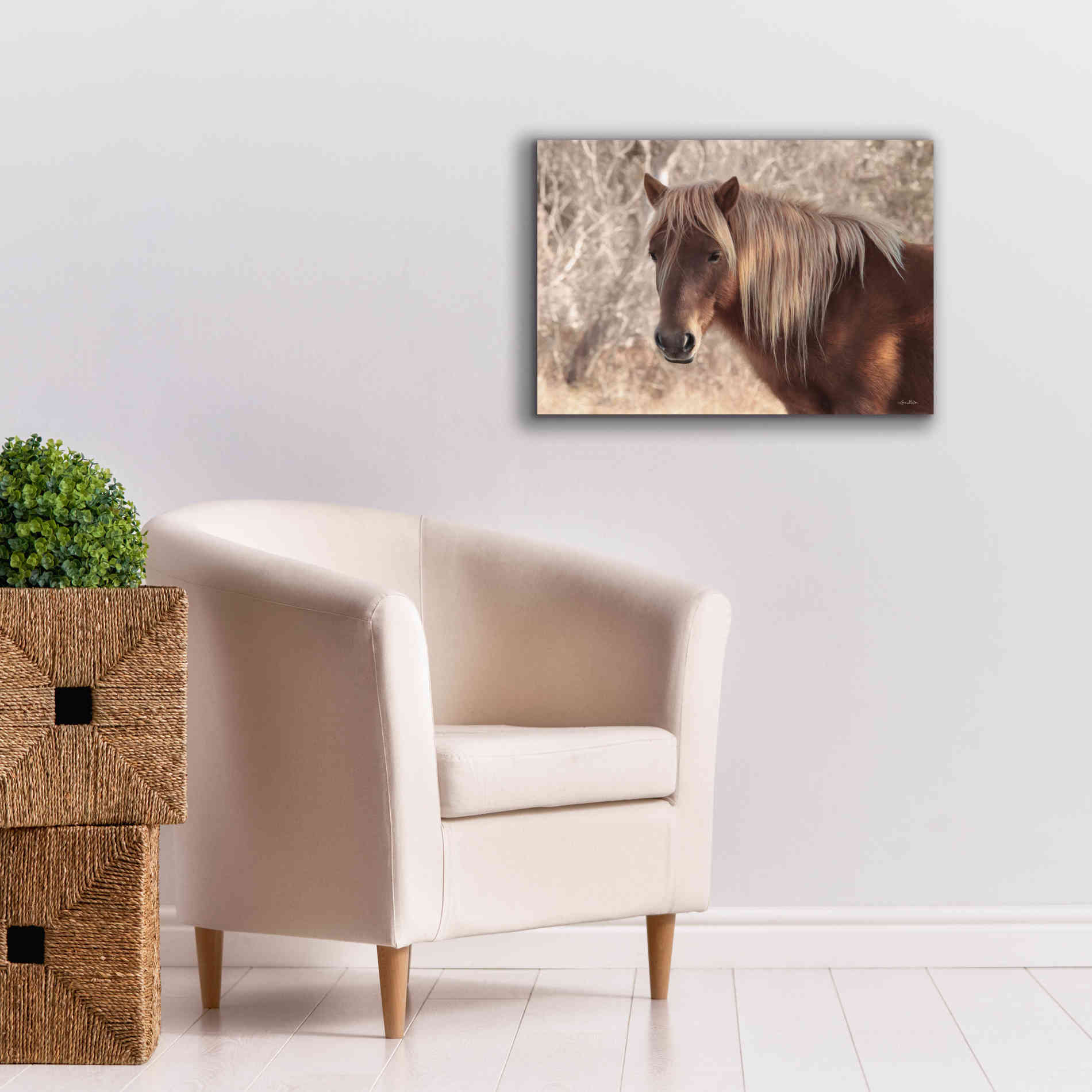 'Assateague Horse Portrait' by Lori Deiter, Canvas Wall Art,26 x 18
