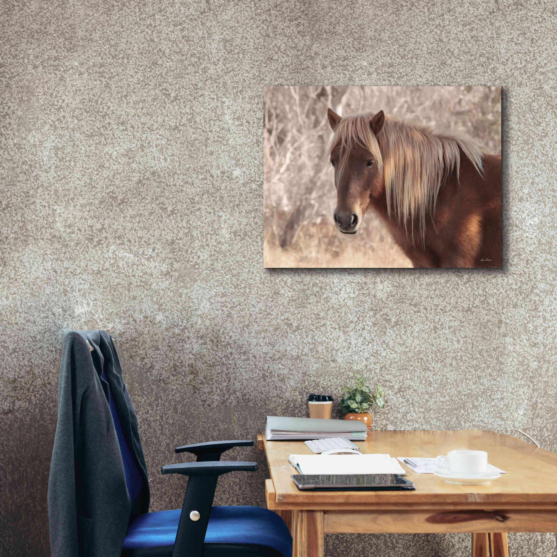 'Assateague Horse Portrait' by Lori Deiter, Canvas Wall Art,34 x 26