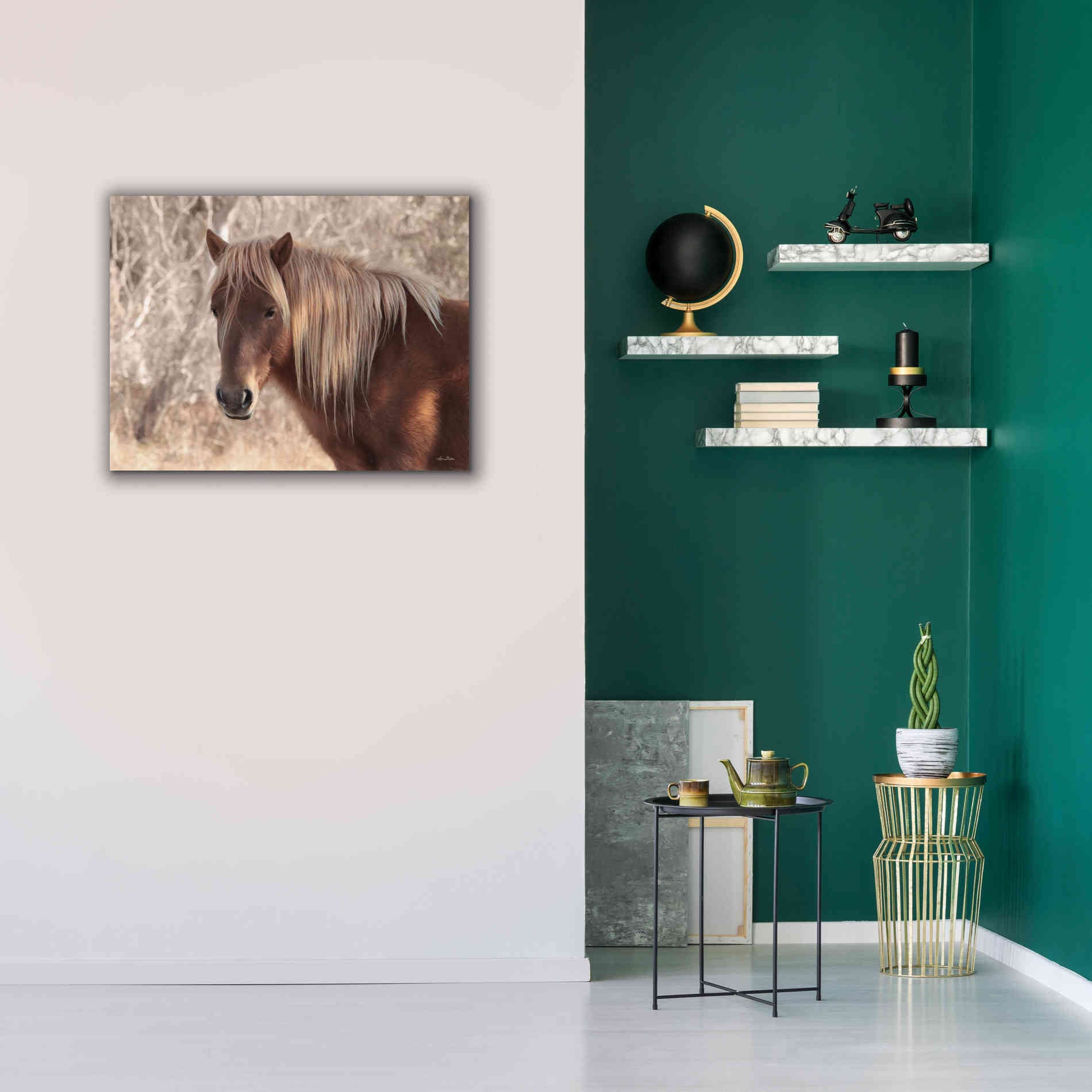 'Assateague Horse Portrait' by Lori Deiter, Canvas Wall Art,34 x 26